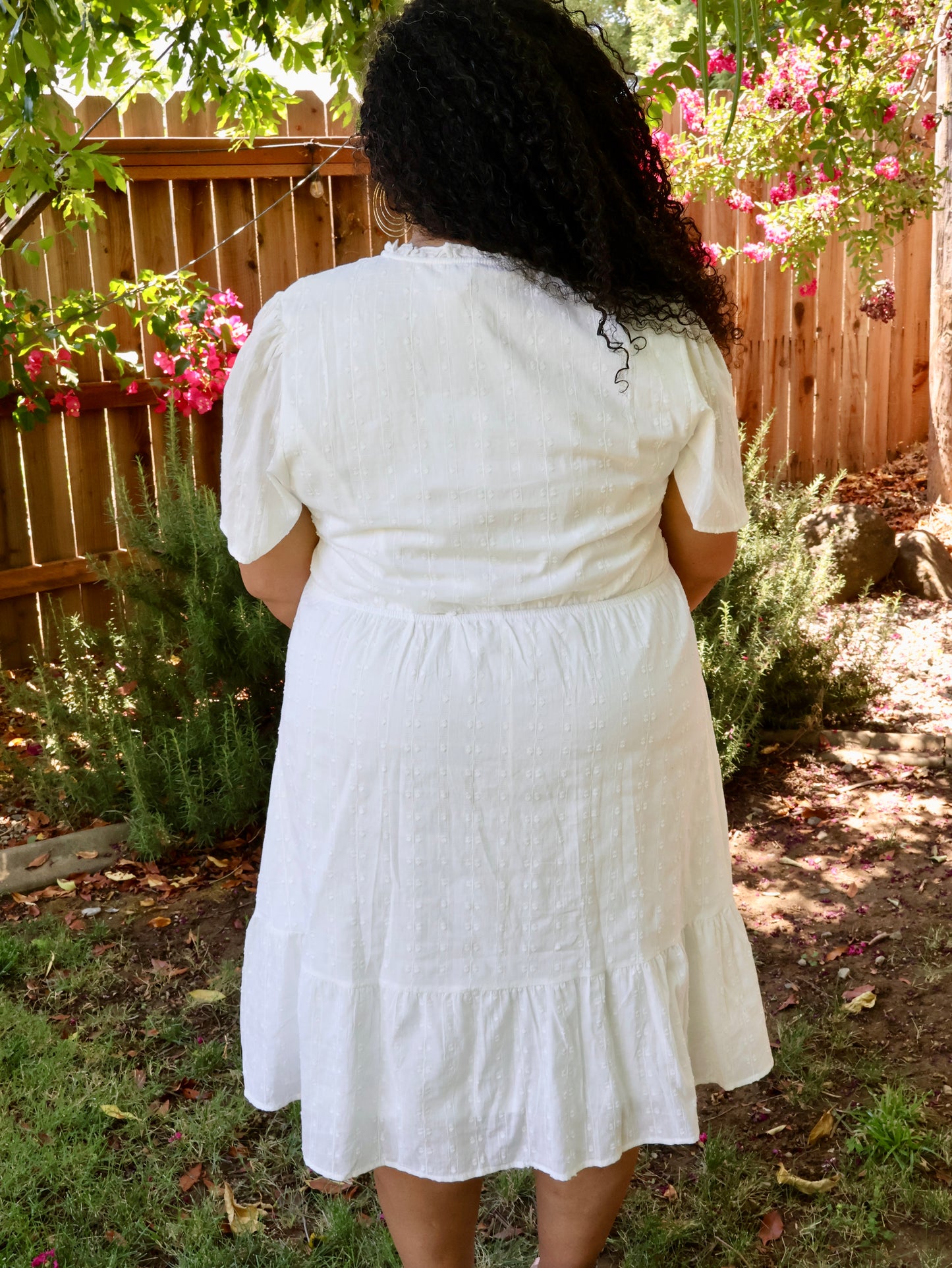 Curvy Delightfully Made Swiss Dot Dress